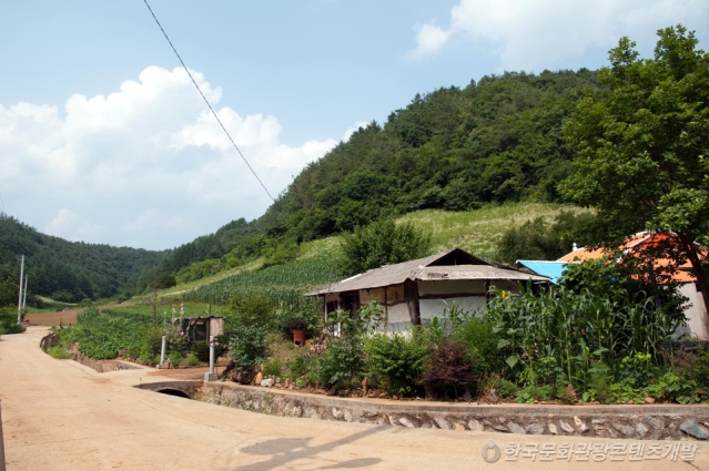 top_banner